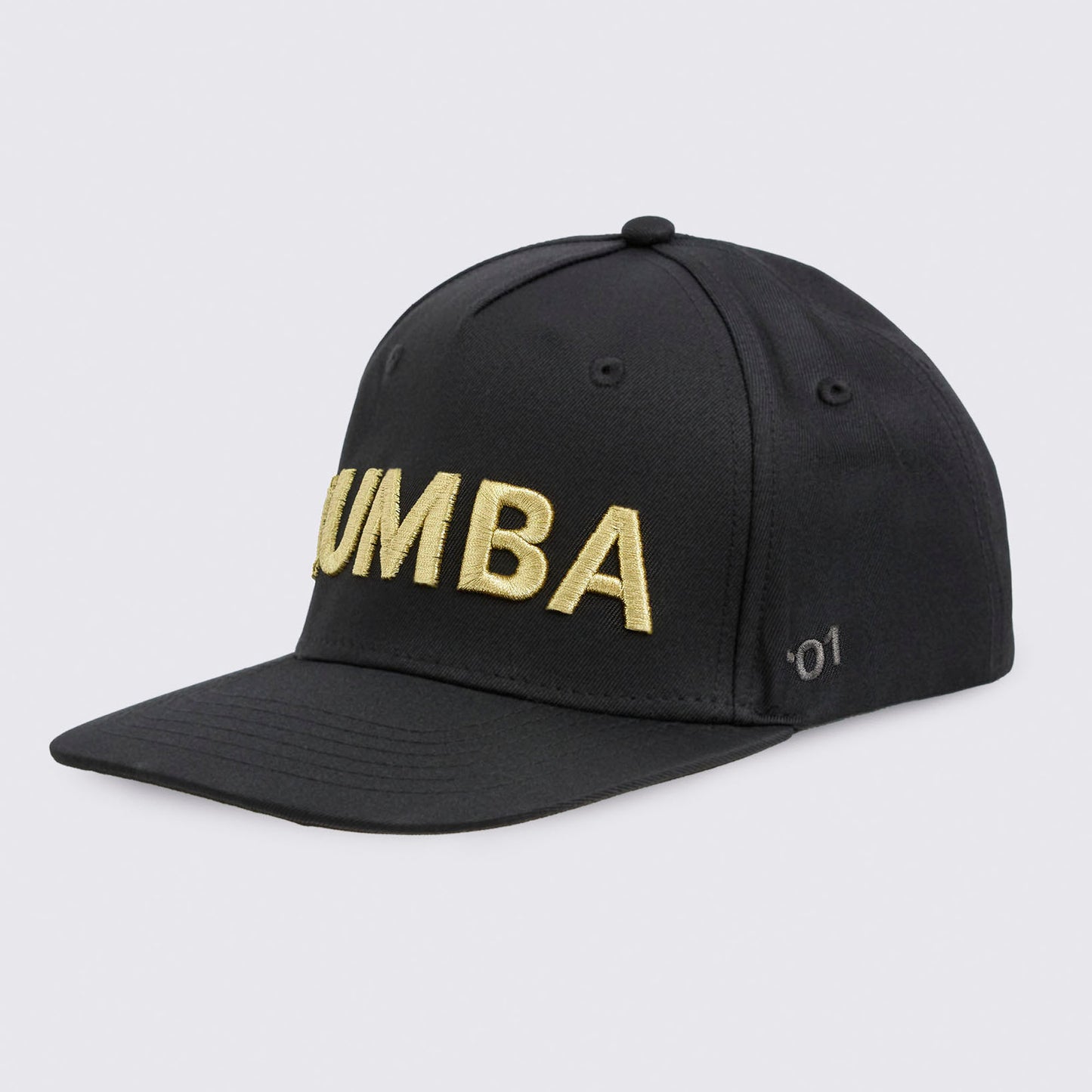 Zumba® Core Snapback Hat
