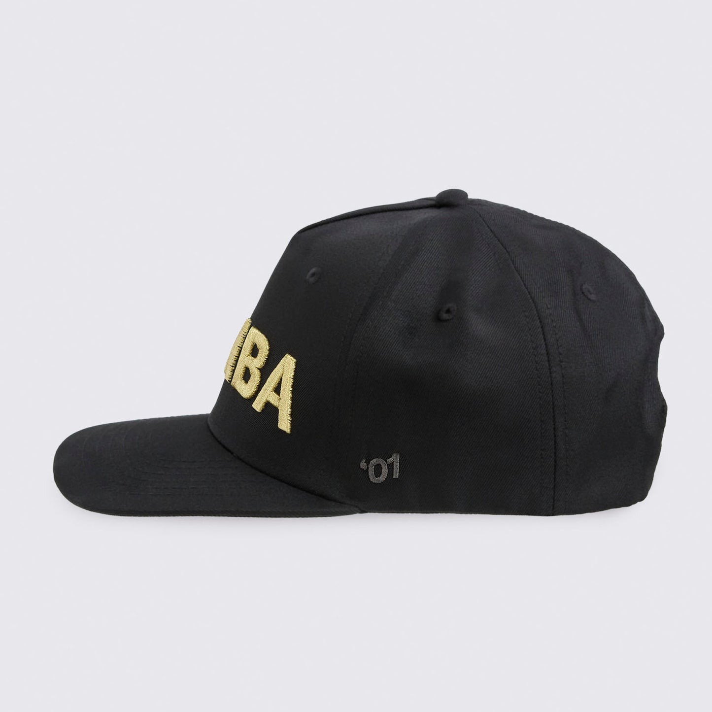 Zumba® Core Snapback Hat